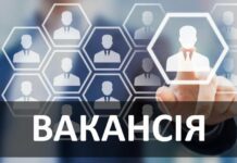 Работа Николаев: ТОП 15 вакансий