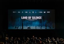 «Тихая земля»: в Николаеве показали фильм о минной опасности, — ФОТО