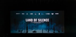 «Тихая земля»: в Николаеве показали фильм о минной опасности, — ФОТО