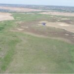 В Николаевской области создали новый заказник: под охрану взяли почти 400 гектаров плавней, — ФОТО