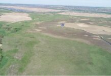 В Николаевской области создали новый заказник: под охрану взяли почти 400 гектаров плавней, — ФОТО