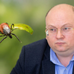 Киев атакует болезнь Лайма: какие симптомы и как не допустить менингит