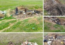 В пригороде Николаева обнаружили стихийные свалки: нарушителей оштрафовали, — ФОТО