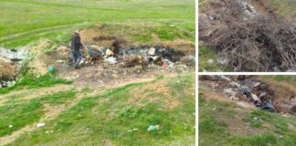 В пригороде Николаева обнаружили стихийные свалки: нарушителей оштрафовали, — ФОТО