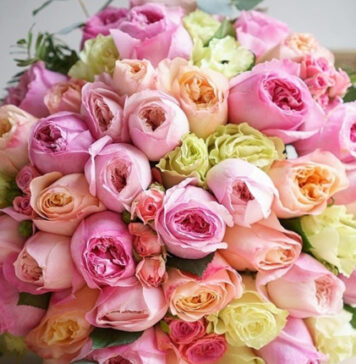 N&L Flower Shop: квіти з доставкою, які допомагають говорити без слів