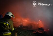 Едва не взорвалось: в Николаевской области из пожара вынесли 8 газовых баллонов, — ФОТО