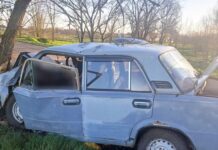 Смертельное ДТП в Николаевской области: водитель погиб на месте, — ФОТО