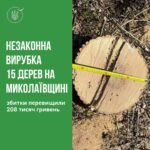 Вырубили лесополосу на 200 тысяч: в Николаевской области ищут злоумышленников