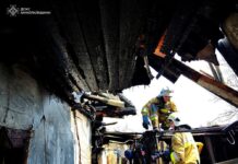 Смертельный пожар в Николаевской области: погиб мужчина, — ФОТО