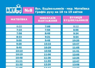 Поминальные дни в Николаеве: к кладбищу запустят больше троллейбусов