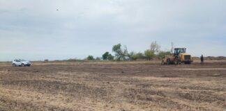 Разорал курган ради поля: в Николаевской области будут судить агронома