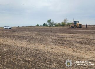 Разорал курган ради поля: в Николаевской области будут судить агронома