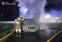 Более 1000 «квадратов» в огне: в Николаевской области ликвидировали пожары, — ФОТО