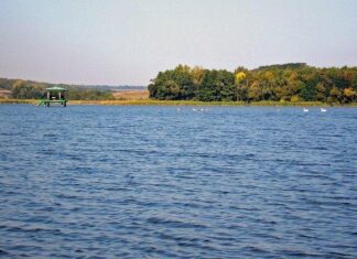 Водохранилище из-за «схемы»: в Николаевской области разоблачили сомнительный договор