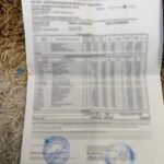 Жестокое убийство в Николаевской области: фермер погиб, исчезли миллионы, — ФОТО