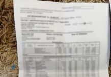 Жестокое убийство в Николаевской области: фермер погиб, исчезли миллионы, — ФОТО