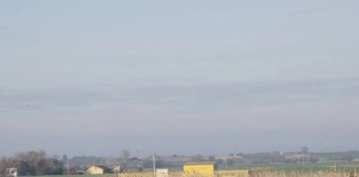 Разведка Сербии разнесла версию Орбана об «украинском следе» при минировании газопровода с Венгрией