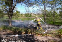 За сутки в Николаевской области произошло 7 пожаров: горели дома, хозяйственные постройки и сухости, — ФОТО