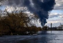Обстрелы на Николаевщине в апреле: ущерб окружающей среде превысил 3,5 млн грн