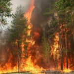 В Николаевской области прогнозируют повышенную пожарную опасность