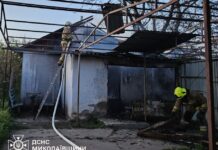 За сутки в Николаевской области произошло три пожара: горело поле, здание и объект в городе, — ФОТО