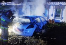Палало в регионе: В Николаевской области за сутки ликвидировали четыре пожара, — ФОТО