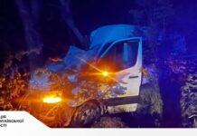 В Николаевской области микроавтобус съехал в кювет и врезался в дерево: есть пострадавшие, — ФОТО
