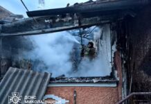 В регионе пылало: в Николаевской области произошло 4 пожара, — ФОТО