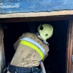 Огонь в частном секторе: спасатели Николаевской области ликвидировали два пожара в жилых массивах, — ФОТО