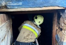 Огонь в частном секторе: спасатели Николаевской области ликвидировали два пожара в жилых массивах, — ФОТО