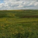Экологическое преступление на Вознесенщине: в ландшафтных заказниках незаконно распахали шесть гектаров заповедной степи