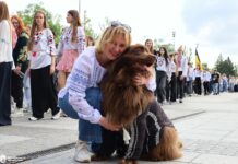 Национальный код единства: в Николаеве прошел масштабный парад ко Дню вышиванки, — ФОТО