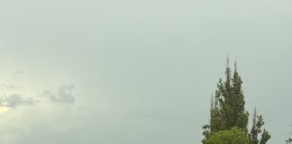 Полумесячная норма осадков за час: Николаев накрыл мощный ливень, — ФОТО