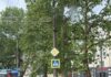 Последствия непогоды: как КП «ЭЛУ Автодорог» ликвидировало последствия мощного ливня в Николаеве
