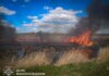 Около 300 пожаров в экосистемах с начала года: спасатели Николаевщины обнародовали тревожную статистику перед началом жары