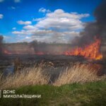 Около 300 пожаров в экосистемах с начала года: спасатели Николаевщины обнародовали тревожную статистику перед началом жары