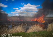Около 300 пожаров в экосистемах с начала года: спасатели Николаевщины обнародовали тревожную статистику перед началом жары