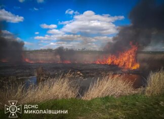 Около 300 пожаров в экосистемах с начала года: спасатели Николаевщины обнародовали тревожную статистику перед началом жары