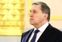 В кремле заявили, что путин готов встретиться с Зеленским в москве
