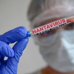 Опасный хантавирус Andes: фиксируют ли его в Украине