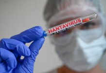 Опасный хантавирус Andes: фиксируют ли его в Украине