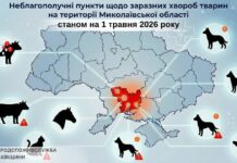 Опасные болезни животных в Николаевской области: обнародовали список локаций