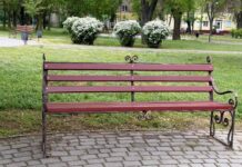 В сквере Николаева обновляют скамейки: уже отремонтировали 50, — ФОТО