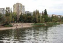 На пляжах Николаева проверили качество воды: каковы результаты исследований, — ФОТО