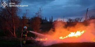 Горели здания и сухости: в Николаевской области ликвидировали почти десяток пожаров