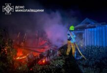 Огонь чуть не перекинулся на дома: что горело в Николаевской области