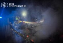 В Николаевской области горели склад, солома и хозяйственные сооружения, — ФОТО