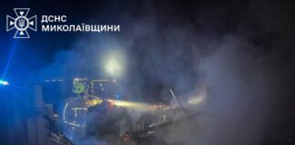 В Николаевской области горели склад, солома и хозяйственные сооружения, — ФОТО