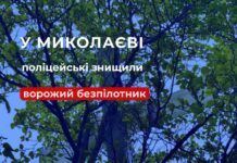 В Николаеве на дереве обнаружили российский беспилотник с боевой частью