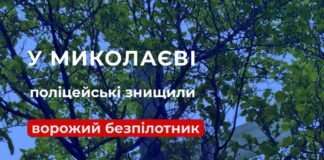 В Николаеве на дереве обнаружили российский беспилотник с боевой частью